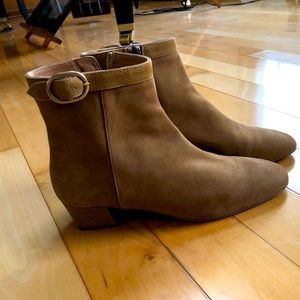 Aquatalia Nila suede booties
